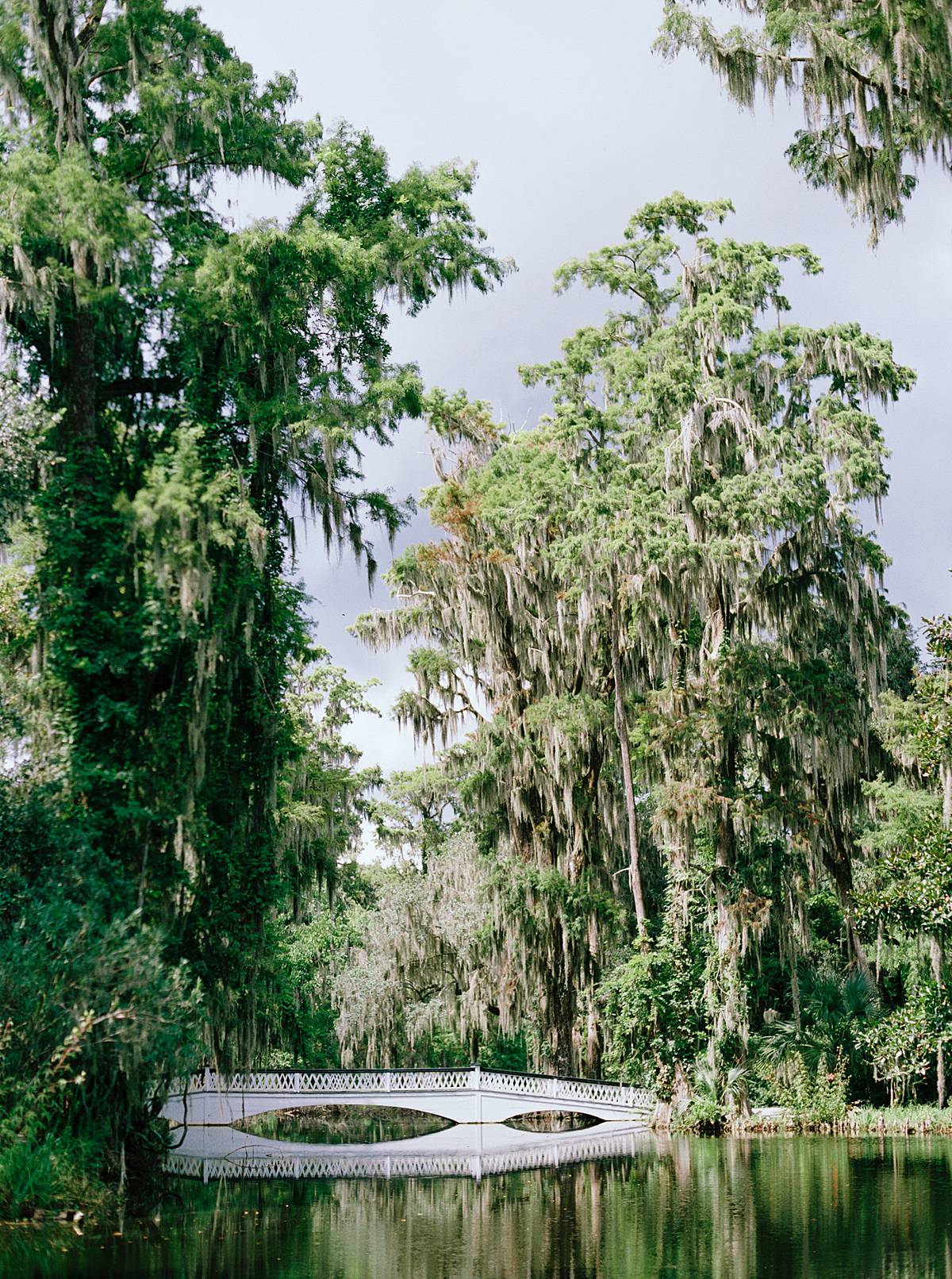 charleston wedding venue magnolia plantation and gardens spanish moss oaks with white bridge on pond